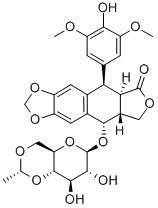 Etoposide MF Etoposide MF