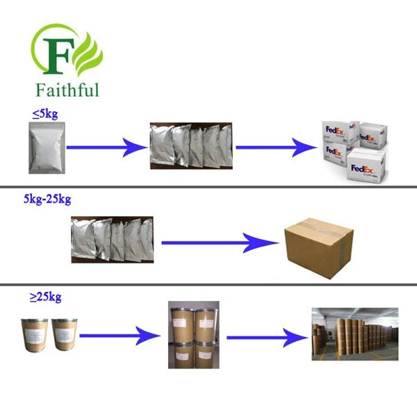 Yohimbine Hydrochloride Powder CAS 65-19-0 Yohimbine Hydrochloride Powder CAS 65-19-0